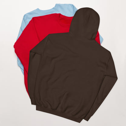 Let’s stop lying to ourselves Hoodie