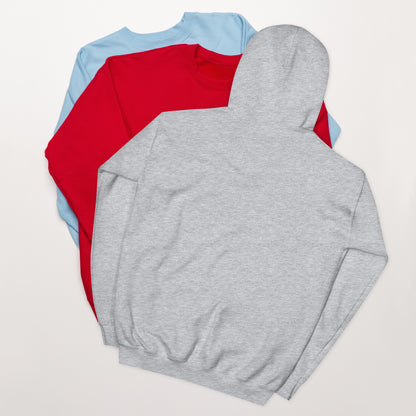 Let’s stop lying to ourselves Hoodie